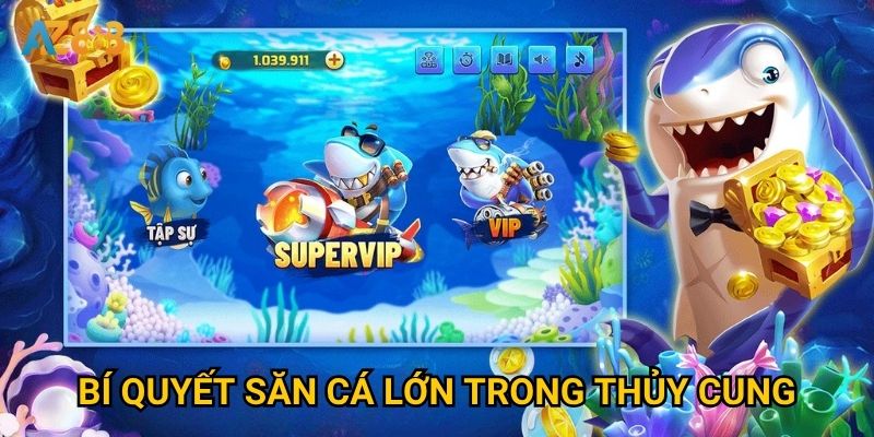 Có gì đặc biệt về bắn cá thủy cung khiến Az888 nổi tiếng? 3 Bí quyết săn cá lớn trong thủy cung