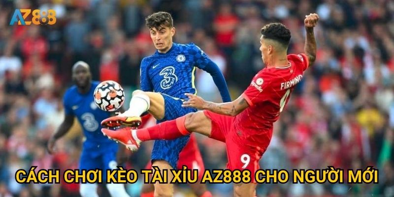 Có phương pháp nào để dự đoán kèo tài xỉu Az888 chính xác? 2 Cách chơi kèo tài xỉu Az888 cho người mới