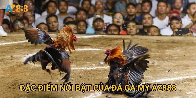 Tại sao đá gà mỹ lại trở thành món ăn tinh thần tại Az888? 2 Đặc điểm nổi bật của đá gà mỹ Az888