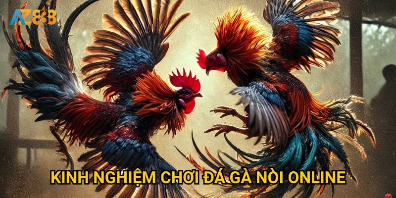 Đá gà nòi trên Az888 có gì khác biệt so với các sàn khác? 3 Kinh nghiệm chơi đá gà nòi online